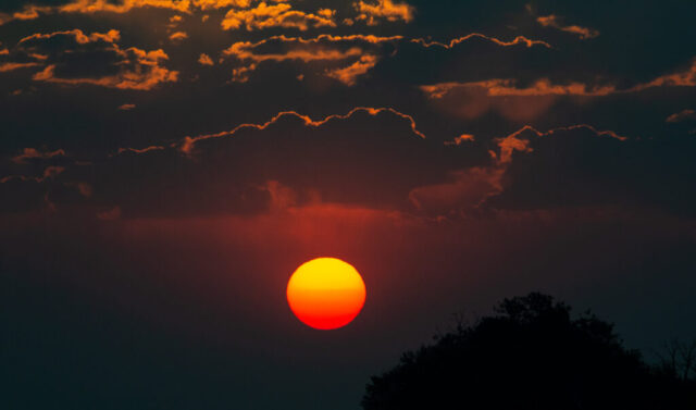 Sunrise with beautiful color on the clouds with a dark tree in the foreground.
